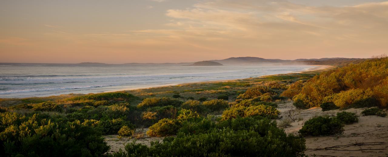 Wairo Beach Holiday Park Tabourie Lake Buitenkant foto